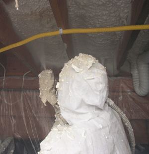 Boston Massachuse crawl space insulation